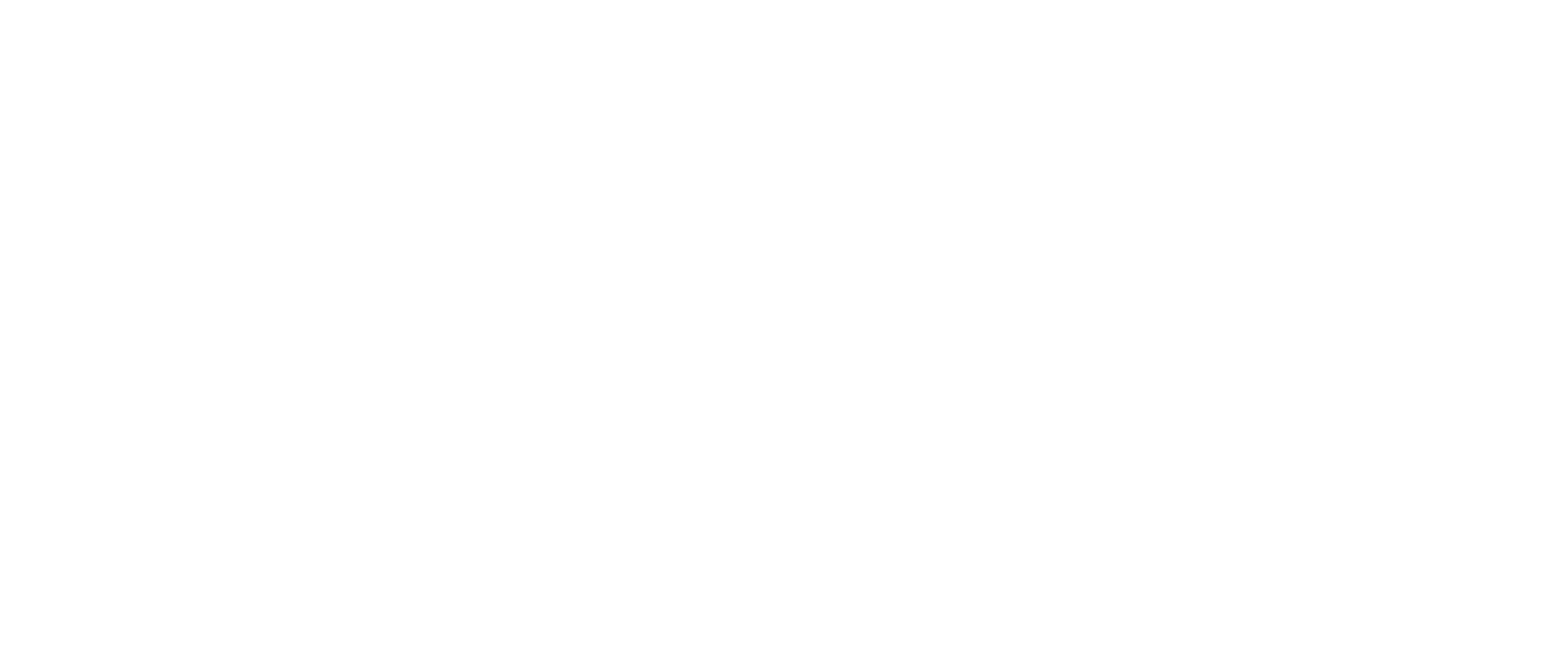 Los Suenos Rental Properties Logo